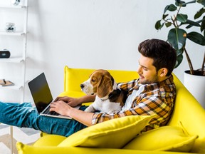 In this post-pandemic world, employers are finding themselves under pressure to make workplaces as welcoming as possible, and increasingly this may involve provisions for bringing dogs to work.