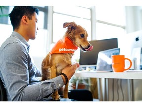 Petcurean has launched new French language websites for GO! SOLUTIONS and NOW FRESH brands.