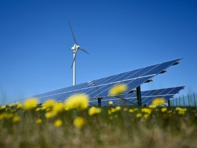 A wind turbine and solar panels in a field of yellow flowers.