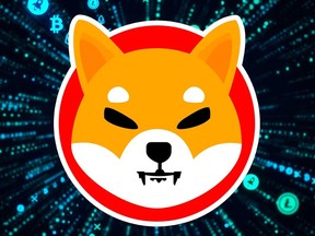 The shiba inu coin was created last year, and like most cryptocurrencies, it began as nearly worthless.