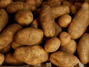 PEI, the smallest Canadian province, is the third-largest potato-producing province after Manitoba and Alberta, growing about 20 per cent of the national harvest in 2020, according to Statistics Canada.