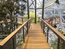 A view inside the Amazon Spheres in Seattle, one famous example of a biophilia workspace.