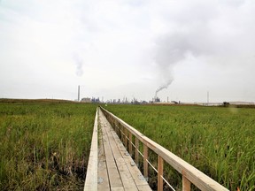 A catwalk cuts through Syncrude Canada's Sandhill Fen reclamation project, which was once the site of an open-pit mine and then a tailings pond, located north of Fort McMurray, Alta. on Tuesday, August 15, 2017.