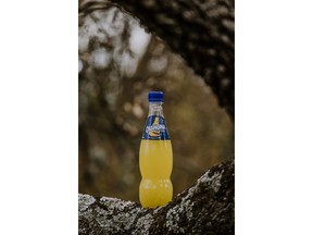 Orangina 100% plant-based PET bottle prototype, excluding cap and label