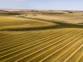 Harvested wheat fields near Cremona, Alta., on Oct. 1, 2020.