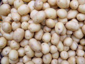 Potato wart can decrease crop yields but poses no threat to human health or food safety, the Canadian Food Inspection Agency says.