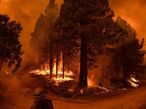 A firefighter watches flame and smoke rise into the air as trees burn during the Windy Fire in the Sequoia National Forest near Johnsondale, California on September 22, 2021.