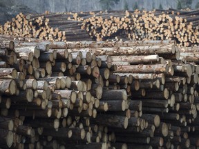 Softwood lumber is pictured at Tolko Industries in Heffley Creek, B.C.