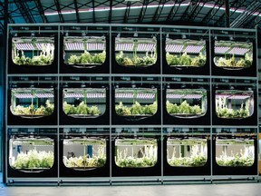 Vertical farming provides a solution to many factors affecting the current and future food supply chain. SUPPLIED