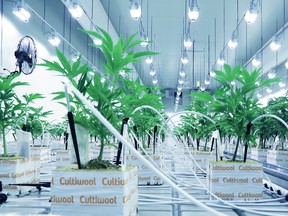 Nicholas Sosiak, CFO of Cannara Biotech Inc., discusses the accelerated retail price compression of cannabis products, and how the company is fully prepared to combat these challenges by trading short-term profits for long-term sustainability. SUPPLIED