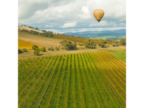 Yarra Valley Water Enhances Customer Experience and Fuels Digital Transformation Journey by Moving Oracle Software Portfolio to Rimini Street
