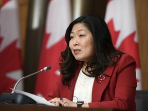 Ministerin für internationalen Handel Mary Ng nimmt am 21. November 2020 an einer Pressekonferenz in Ottawa teil.