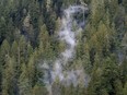 The clouds move among the old growth forest in the Fairy Creek logging area near Port Renfrew, B.C.