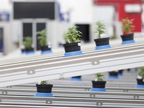 Green Growth Brands tried to buy Aphria in 2019.