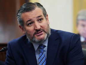 Republican Ted Cruz has repeatedly defended crypto in the Senate.