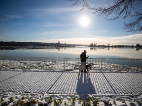 A man walking a dog checks his phone as ice floes build up on the Fraser River in New Westminster, B.C.