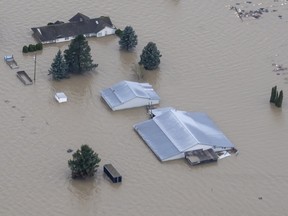 Hochwasser umgibt am 23. November 2021 eine Farm in Abbotsford, BC.