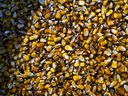 Corn is up almost 20 per cent so far this year.