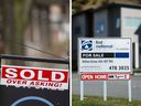 House prices have skyrocketed throughout the pandemic in Canada and New Zealand. 