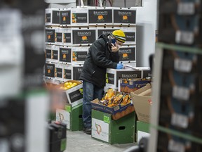 North American Produce Buyers Ltd. employees prepare fresh fruit from Chile and Peru to ship to stores at the Ontario Food Terminal.