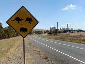 A road sign warnings motorists of kangaroos, koalas and wombats stands along a road leading to the AGL Energy Ltd. Loy Yang Power Station in the Latrobe Valley, Australia.