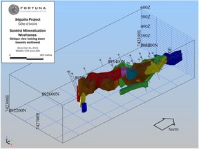 Oblique northwest view of the Sunbird deposit showing mineralized wireframes and drillholes