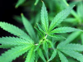 Tilray Brands on Thursday agreed to buy up to US$211 million of HEXO's debt.