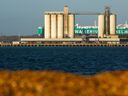 Ein Autotransporter ist hinter Silos am Southampton Grain Terminal im Hafen von Southampton in Southampton, Großbritannien, festgemacht