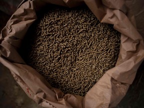 Sacks of wheat grain are seen in a sheep farm in Spain, on March 11, 2022.