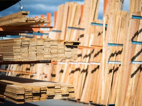 Holzreihen auf einem Holzplatz in Victoria, British Columbia.