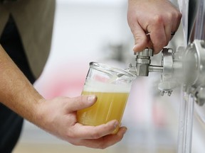 Ein Techniker gießt im Canadian Malting Barley Technical Centre in Winnipeg eine Probe von teilweise fermentiertem Bier in einen Becher.