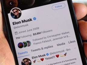 Elon Musk's Twitter profile.