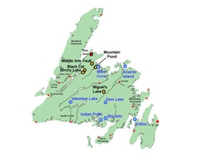 The Properties (identified in blue in the below image) cover a total of 13,125 hectares spread broadly across Newfoundland.