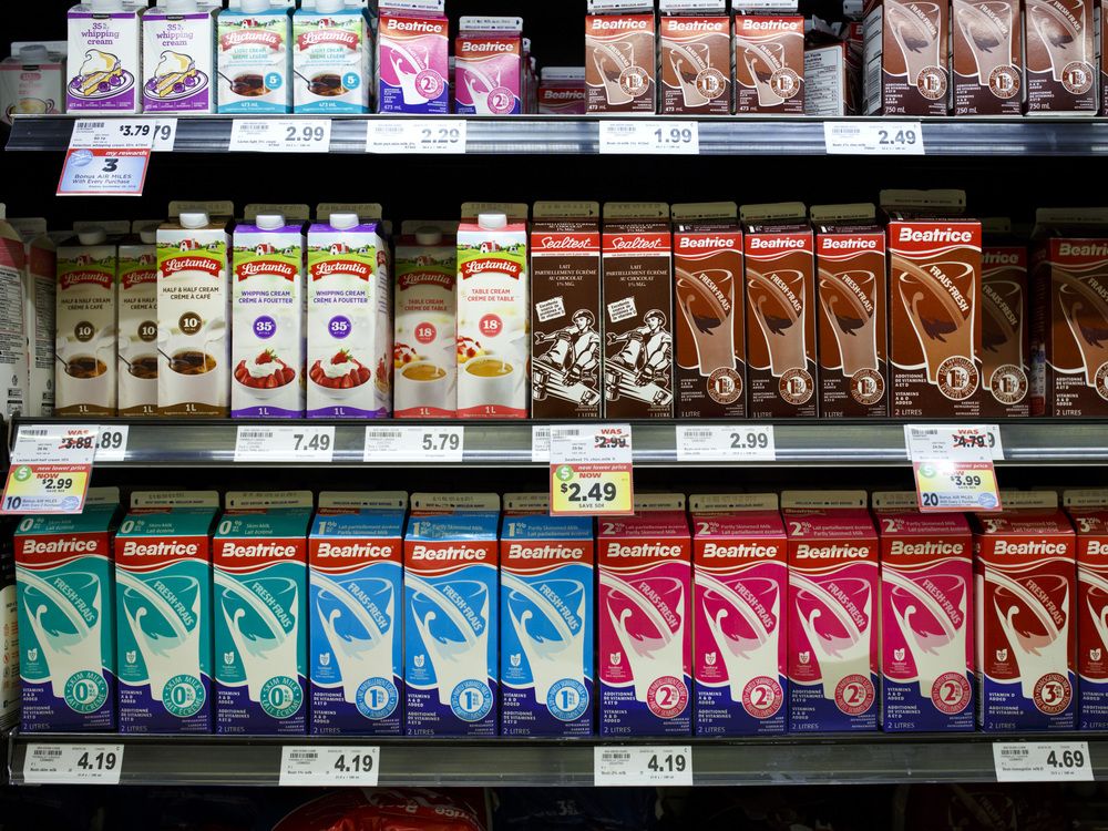 Soaring dairy prices drive steepest rise in food inflation in 13 years