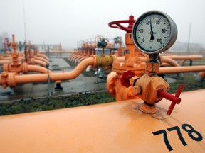 Russia halted gas supplies to Bulgaria and Poland on Wednesday for rejecting its demand to pay in roubles.