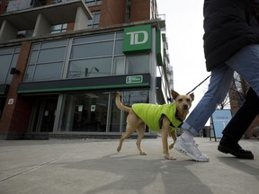 People walk their dog in front of a TD Bank branch in Toronto.