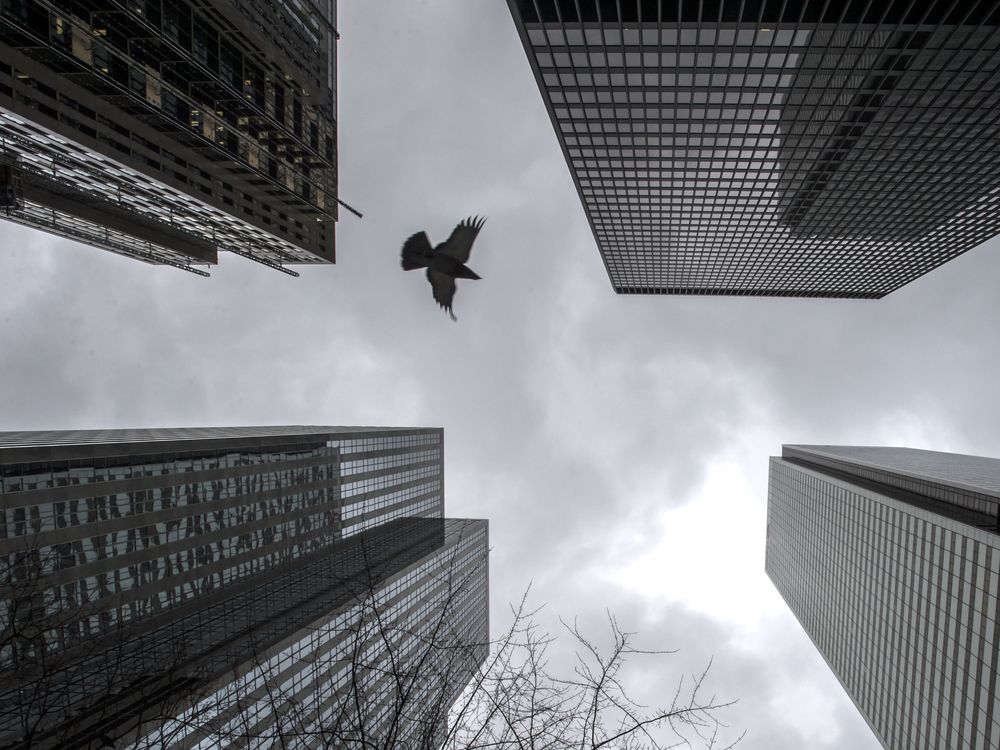 Financial system can 'absorb' shock of higher interest rates, Canada's banking r..