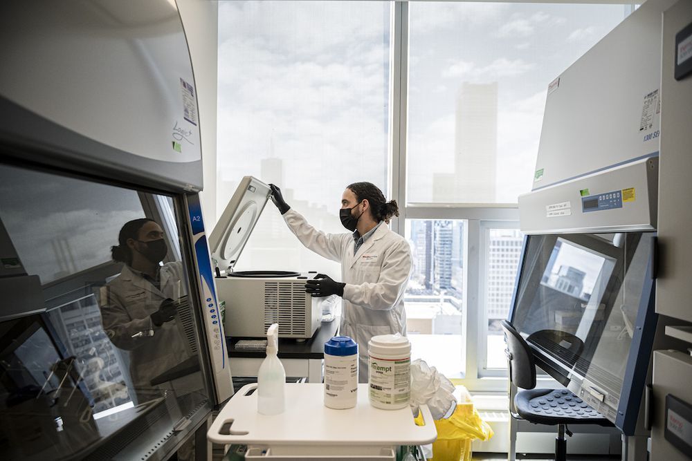 Nowhere to grow: Canada's biotech sector is booming, but a lack of lab space has some companies looking south