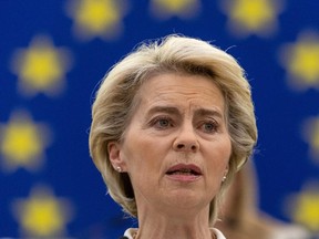 "Putin must pay a price, a high price, for his brutal aggression," European Commission President Ursula von der Leyen told the European Parliament in Strasbourg.