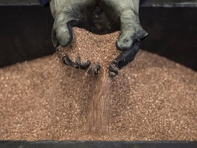 A worker handles copper shavings collected for melting in the foundry at the Valjaonica Bakra Sevojno AD copper mill in Sevojno, Serbia.