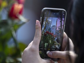 A person uses their cellphone in Toronto.