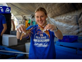 Fresh spot prawns available at Fisherman's Wharf in Steveston.