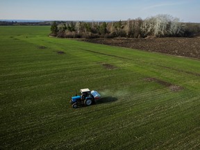 Ein Bauer streut im April Dünger auf ein Weizenfeld in der Ukraine.