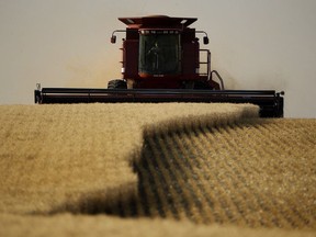 After a tough year in Canadian agriculture, CN Rail believes farmers will see a better crop this year.