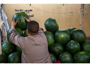 A vendor arranges a display of watermelons at the Al-Manhal market in the Nasr city district of Cairo. Photographer: Islam Safwat/Bloomberg