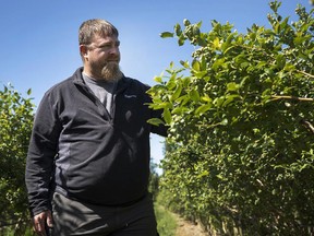Jason Smith is chair of the British Columbia Blueberry Council, which is the country’s largest blueberry producing province.