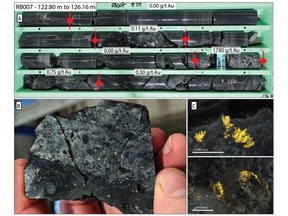 Images of the RB007 intercept including a picture of the core tray showing surrounding breccia and assays grades (A), hand specimen of the uphold contact of the mineralized breccia (B) and micrographs of some of the gold grains (C).