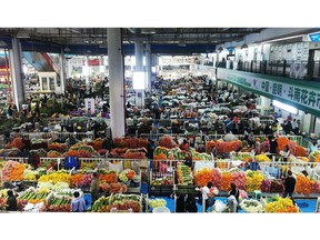 Kunming Dounan flower market