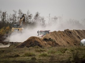 FILE - Heavy machinery is used by members of Danish health authorities, assisted by members of the Danish Armed Forces, in disposing of dead mink in a military area near Holstebro, Denmark, Nov. 9 2020. A Danish Parliament-appointed commission on Thursday June 30, 2022, has harshly criticized the country's government for its decision to cull millions of healthy mink at the height of the coronavirus pandemic to protect humans from a mutation of the virus.
