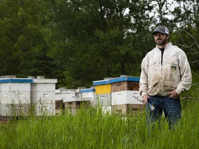 Beekeeper Kevin Nixon with some of his hives.